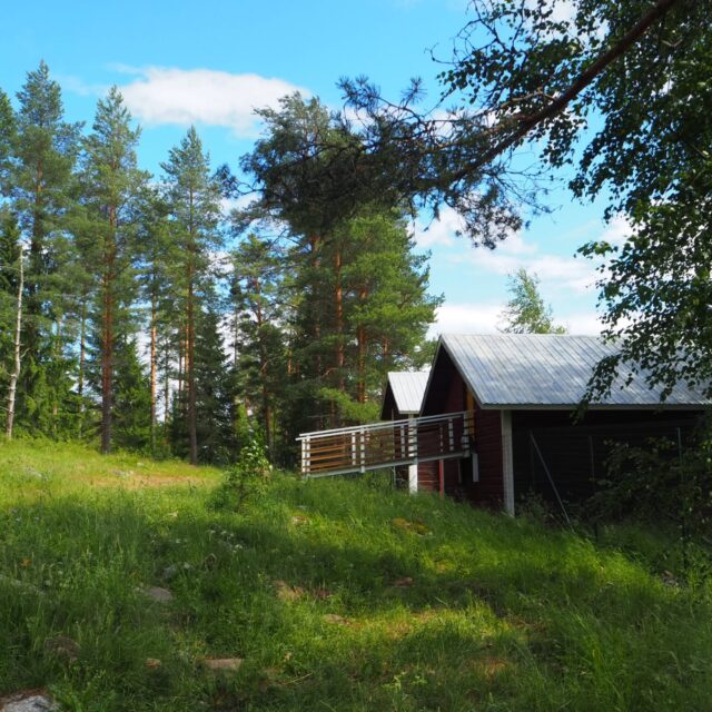 🌙Yöpyminen Koirametsä Tarmokkaalla🌙

🏠 Tarmokkaan erikoisuutena ovat vanhat, perinteiseen maaseudun elämään liittyneet rakennukset, jotka ovat saaneet koirametsässä uuden elämän omaksi ja asiakkaidemme iloksi! Vanhasta sepänpajasta loihdittiin keittokatos ja vilja-aitan ylisille raivattiin tilaa yövieraille. Aittamajoitus pitää sisällään 2 x hetekat itikkaverkkoineen, 2 x kuvissa näkyvät riippumatot sekä pöytäryhmän ja nukkumisalustan koiralle. Aitta on sähkötön ja vedetön, valaisimina toimivat patterikäyttöiset lyhdyt 💡

⛺ Aitoa erähenkeä etsiville suosittelemme yöpymistä laavulla, kauempana mahdollisen liikenteen äänistä. Laavulla iltaa voi viettää rennosti tulistellen pitkälle yöhön ja antaa liekkien tuudittaa uneen 😴 Myös omien majoitteiden tuominen alueelle on sallittua ja etenkin riippumaton ripustamiseen soveltuvia puita löytyy koirametsästä runsaasti! Karavaanareille tiedoksi, että matkailuautolla meille mahtuu ajamaan vaikka alueen sisälle yöksi parkkiin 😉 

🍲 Ruoanlaitto alueella onnistuu sekä laavulla että vanhaan sepänpajaan entisöidyssä Tarmonpesässä, molemmat tulipaikat on varusteltu kattavasti mm. kahvi- ja muurikkapannuilla. Tarmonpesässä ruuanlaittoa ei estä vesisade tai maastopalovaroituskaan! 

💵 Yöpymisen hinta halvimmillaan 65€/yö, sisältäen alueen kaikkine rakenteineen asiakkaan omaan käyttöön klo 21-9 sekä polttopuut illaksi ja aamuksi 🔥 lisätietoja majoittumisesta ja varaukset varauskalenterin kautta 👉🏼 koirametsatarmokas.fi 🥰