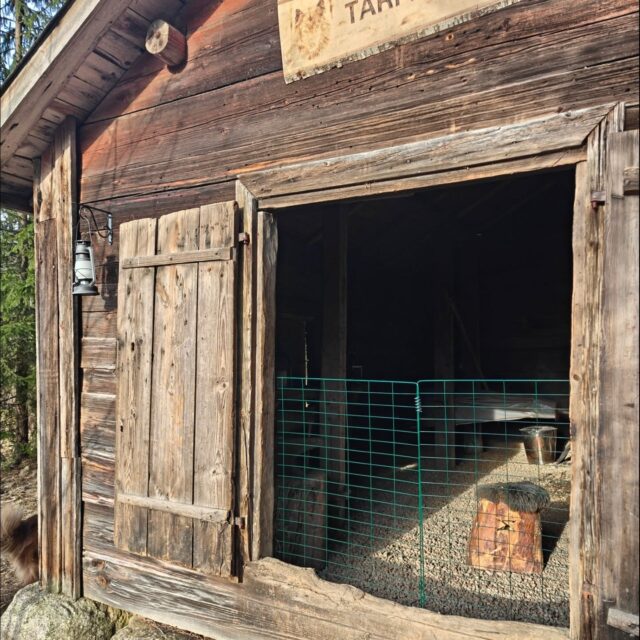 ✨Asiakastoive✨

Tarmonpesä on mainio paikka viettää eväsretkeä isommallakin porukalla tai laittaa ruokaa avotulella pidemmän kaavan mukaan 😊

Joskus ruokaillessa tai ruokaa laittaessa voi kuitenkin tulla tilanne, jolloin koirakavereiden läsnäoloa ei kaivata 🤭 asiakastoiveena toteutimme Tarmonpesän ovelle kevytportin, jonka voi tarvittaessa nostaa esille rajoittamaan koirien kulkua sisään! Portti on helppo nostaa paikoilleen ja pois ovenpielestä löytyvien naulojen varaan. 

Käyttökokemusta portista ei vielä ole ehditty saamaan, mutta kertokaa ihmeessä jos testaatte! 😁