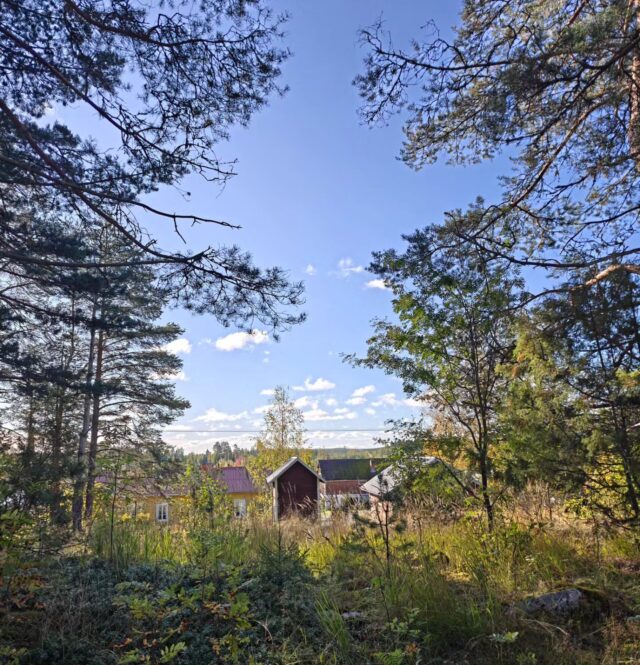 Miten upeista syyskeleistä onkaan saatu nauttia viime päivinä! 😍 Tarmokkaan väki on ehdottomasti sitä mieltä, että parhaat ulkoilu- ja retkikelit on NYT 💚🧡 

Vaikka retkeily ja koirametsäily on tietysti parasta puuhaa auringon paisteessa, onnistuu meillä esimerkiksi ruuan laittaminen mukavasti myös sadesäällä katetussa Tarmonpesässä 🤭 kuurojen sattuessa sateensuojaa tarjoavat myös aitta, laavu sekä katettu sisäänkäynti! Hyvällä varustuksella Tarmokkaalla pärjää siis säässä kuin säässä🤝🏻 

Ihania ja aurinkoisia syyspäiviä kaikille! ☀️