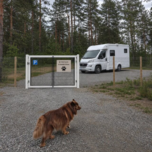 Tänään aloitettiin kolmen viikon huolto- ja rakennusurakka! 💪🏼

Rakennustiimi purki vanhaa aitaa, hahmotteli uuden aitalinjan linjauksia ja rakensi ajoporttia uudelle parkkialueelle. Markkinointitiimi keskittyi visiointiin, haaveiluun ja ravitsemukselliseen puoleen 😂🙂‍↕️

Juhannukseen asti tosiaan ollaan kiinni, mutta juhannusaattona viimeistään avataan uudistettu ja entistä ehompi Koirametsä Tarmokas 🐶 🌲 

📷 (Havainnekuva uudesta parkkialueesta luotu tekoälyavusteisesti)