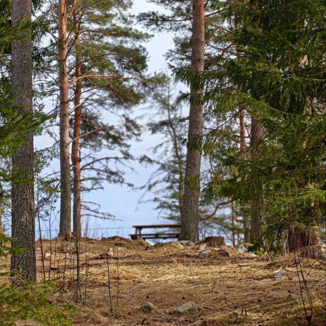 🔥 Maastopalovaroitukset voimassa myös Pohjois-Savon alueella! 🔥

Huomaathan, että tulien tekeminen koirametsän laavulla on ehdottomasti kielletty maastopalovaroituksen ollessa voimassa. Tarmonpesän hormilliseen tulisijaan makkaratulet sen sijaan voi tehdä myös varoituksen aikana 😊