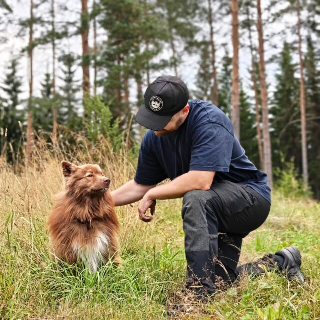 Vielä on kesää jäljellä... 🎶

Täällä on nyt lomat lusittu ja arkeen palattu, mites siellä? 👀 Aivan ihania elokuun päiviä on saatu koirametsässä viettää loman lopusta huolimatta, kovimmat helteet on jääneet taakse ja katse voidaan hiljalleen kääntää syksyä kohti! Nämä elokuun pimenevät, mutta lämpimät illat kuuluu ehdottomasti meidän kesän suosikkijuttuihin💜

Tänään huoltokierroksella vaihdettiin pattereita laavun lyhtyihin ja sisäänkäynnin valaistukseen, se jos mikä on varma syksyn lähestymisen merkki. Tervetuloa tunnelmoimaan loppukesän fiiliksissä Koirametsä Tarmokkaalle! 🌾🌄