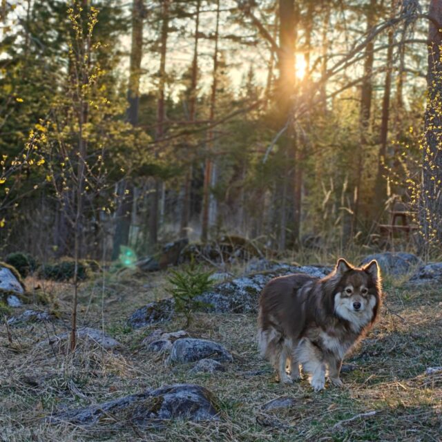 Ihanaa, aurinkoista, lempeää ja kaunista äitienpäivän iltaa kaikki te ihanat äidit 💖💐 

"paljon on äideistä kirjoitettu runoja
paljon kauniita, lämpimiä sanoja
herkkiä ja rakkaita

koska ne on jo kirjoitettu
kirjoitan vain kaksi sanaa, äiti,
vain kaksi sanaa:
kiitos elämästä"