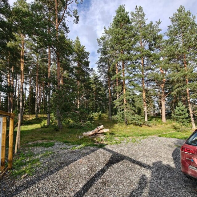 Hei Suomessa reissaaja! 🚐 Etsitkö matkanvarrelta yöpymispaikkaa, jossa myös koira pääsee nauttimaan vapaudesta pitkien ajopäivien vastapainoksi?

Tervetuloa meille Tarmokkaalle, vain noin 30 km Kuopion keskustasta asfaltoidun tien varrella! Meillä sinua odottaa:

🐾 2 hehtaaria aidattua metsää koiran vapaaseen ulkoiluun
🚐 Reilun kokoinen parkkipaikka sekä aitauksen ulko- että sisäpuolella
🚪 3,7 metriä leveä ajoportti, josta ajat helposti myös asuntoautolla tai -vaunulla aidatun alueen sisälle
⚡ Sähkö sisältyy aina yöpymisen hintaan
🔥 Useampi tulistelupaikka, myös katettu vaihtoehto sateen tai maastopalovaroituksen varalta

Lisätietoja, hinnat ja esimerkiksi kattavat esittelyvideot alueesta löydät meidän kotisivuilta www.koirametsatarmokas.fi ✌🏼 Nähdään metsässä! 🐶❤️