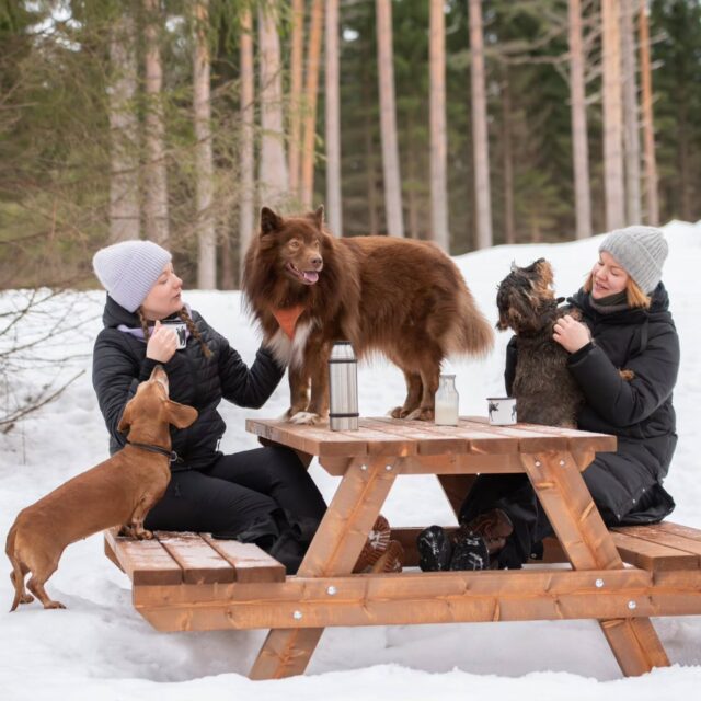 ✨⛄TAMMITARJOUS⛄✨ 

Tammikuun ulkoilukelit alkaa näyttää niin hyvältä, että halutaan kannustaa kaikkia nauttimaan niistä ja Suomen talvesta vielä kun se on mahdollista! Lumen, pakkasen ja pitenevän päivän kunniaksi kaikki arkipäivien vuorot Koirametsä Tarmokkaalla -15% tammikuun loppuun asti 🤑

Alennuksen saa suoraan varausjärjestelmämme kautta ilman erillisiä koodeja 🥰 huomaathan, että alennus ei koske viikonlopun (la-su) vuoroja! 

Lämpimästi tervetuloa ulkoilemaan Koirametsä Tarmokkaalle 🐶🌲