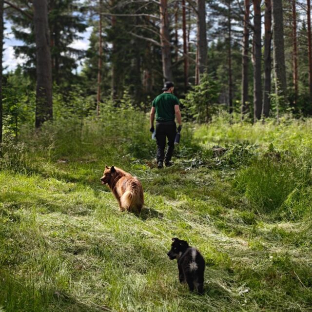 Huhhuh mikä kesäkuu takana 🥵

Kolmen viikon huoltotauko venyi meistä johtumattomista syistä yli kuukauden mittaiseksi, mutta vihdoin uskalletaan sanoa että valmista on! Huomenna avataan portit (myös uusi ajoportti!!!) taas asiakkaille ja päästäänkin heti majoittamaan kesän ensimmäinen yöpyjä 🥰 

Haluamme kiittää kaikkia asiakkaita kärsivällisyydestä ja pahoitella vielä kerran pitkäksi venähtänyttä kiinnioloa 🙏🏼 kiitokseksi ja hyvitykseksi laitettiin koko heinäkuun ajaksi kunnon alekampanja pystyyn, eli kaikki päivävuorot koko heinäkuun ajan -20%! ❤️🤑

Ihanaa ja ennenkaikkea TARMOKASTA kesän jatkoa 🫶🏼 

PS. Käy kurkkaamassa varauskalenterista myös uudistuneet yöpymisvaihtoehdot 😉